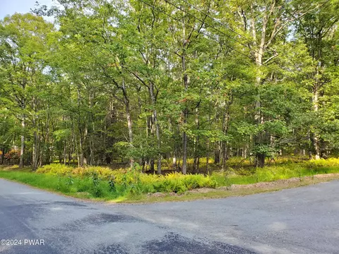 lot201 Tink Wig Dr, Hawley, PA 18428