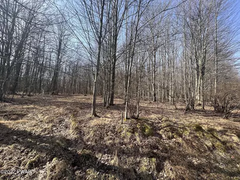 lot394 Snowshoe Cir, Lake Ariel, PA 18436