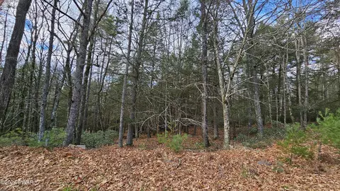 lot59 Perry Pond Rd, Narrowsburg, NY 12764