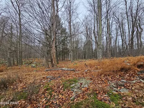 lot S 311331143115 Buck Hl, Greentown, PA 18426