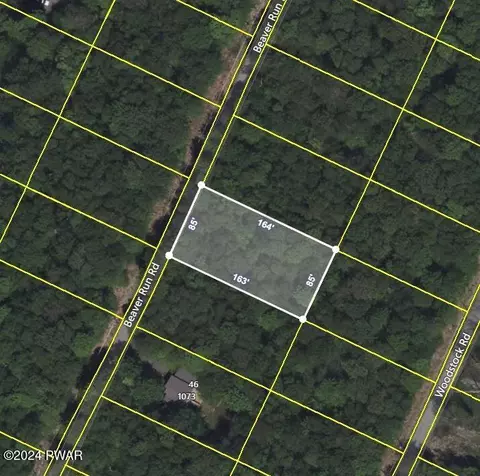 lot42 Beaver Run Rd, Newfoundland, PA 18445
