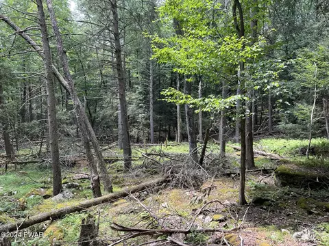 lot75 Happy Hollow Dr, Shohola, PA 18458