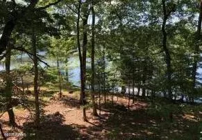 Mountain Lake Drive, Dingmans Ferry, PA 18328