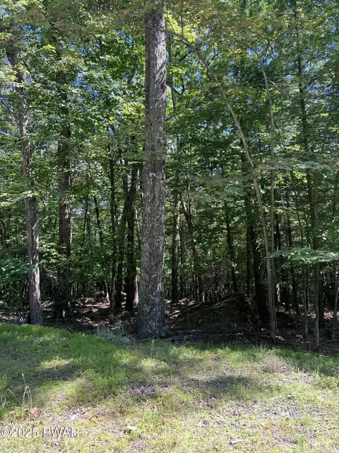 130 Song Mountain Dr, Tafton, PA 18464