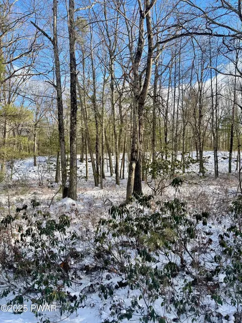 209 Laurel Dr, Shohola, PA 18458