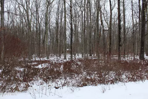 lot133 Ironwood Ruff Rd, Canadensis, PA 18325