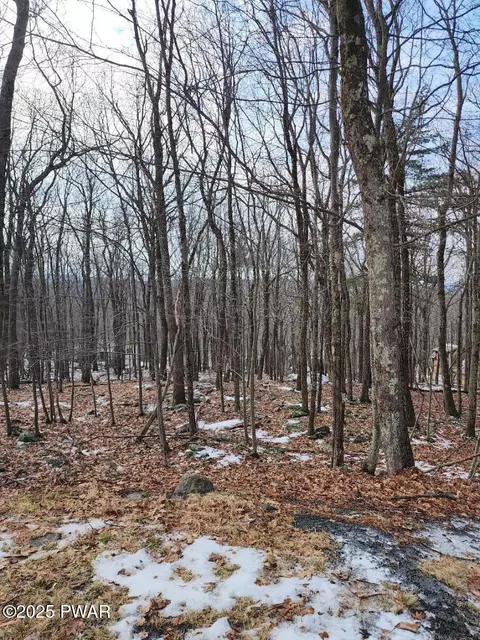 lot895 Pico Ln, Tafton, PA 18464