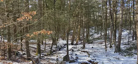 lot24 Brook Dr, Narrowsburg, NY 12764