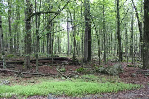 lot1906 Horizon Dr, Greentown, PA 18426