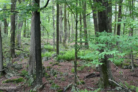 lot2219 Hemlock Ter, Greentown, PA 18426