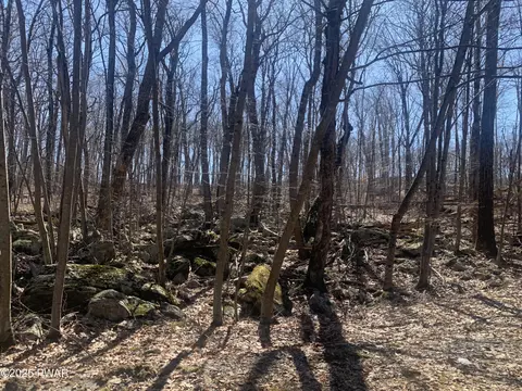 lot16 Cedar Ridge Rd, Hawley, PA 18428