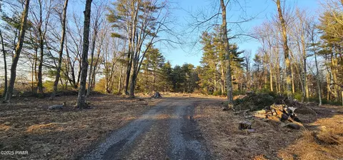 lot16 1 Beaverbrook Rd, Narrowsburg, NY 12764