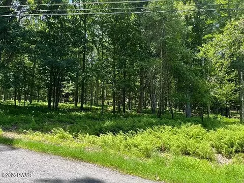 lot314 Forest Ridge Dr, Hawley, PA 18428