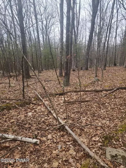 lot341 Timber Ridge Dr, Hawley, PA 18428