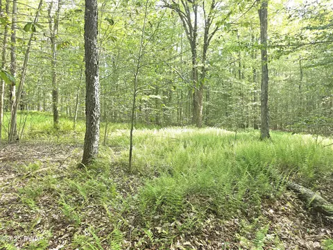 lot Apt 1 Pa-370, Poyntelle, PA 18454