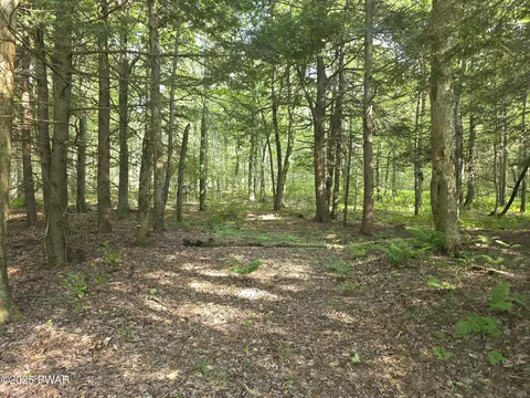 lot Apt 2 Pa- 370, Poyntelle, PA 18454