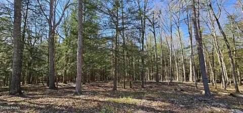 lot85 Perry Pond Rd, Narrowsburg, NY 12764