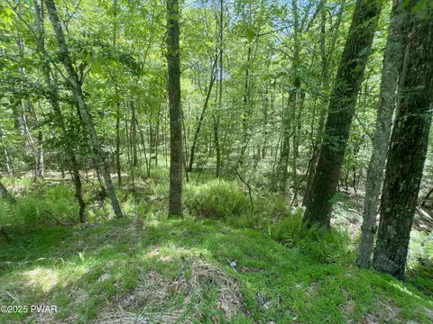 lot19 Brook Dr, Narrowsburg, NY 12764