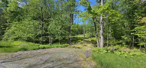 lot61 Cushetunk Dr, Narrowsburg, NY 12764