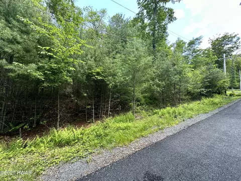 lot46 Sec 6 Woodland Dr, Dingmans Ferry, PA 18328