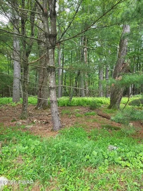 lot Apt 97 S Nichecronk Rd, Dingmans Ferry, PA 18328