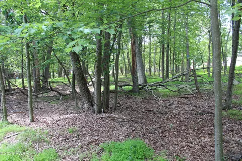 lot28 N Forrest Dr, Milford, PA 18337