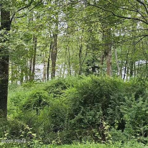 lot45 Lake Russell Rd, Newfoundland, PA 18445