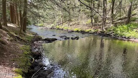 Lehigh River Ct, Gouldsboro, PA 18424