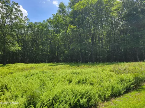 lot18 Fern Dr, Hawley, PA 18428