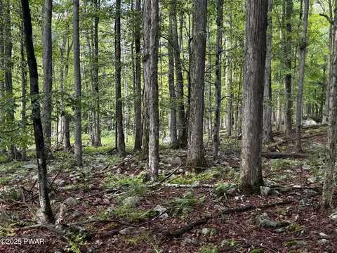 103 Elm Ln, Greentown, PA 18426