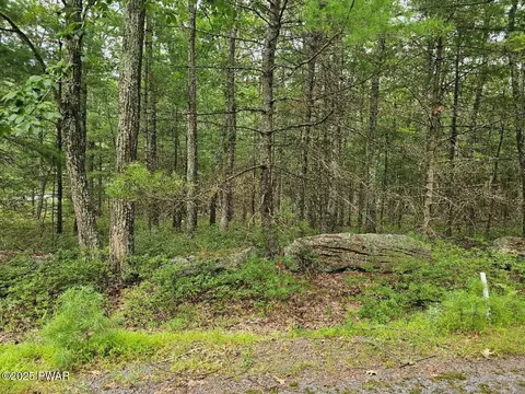 lot42 Ripplewood Dr, Tafton, PA 18464