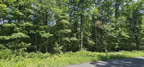 lot23 23 Perry Pond Rd, Narrowsburg, NY 12764