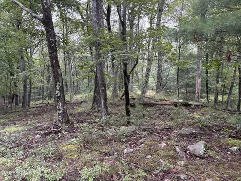 lot785 Jack Pine Dr, Dingmans Ferry, PA 18328