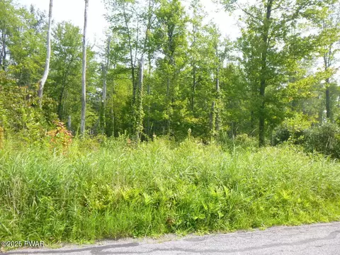 401 Swoyer Road, Jefferson Township, PA 18436