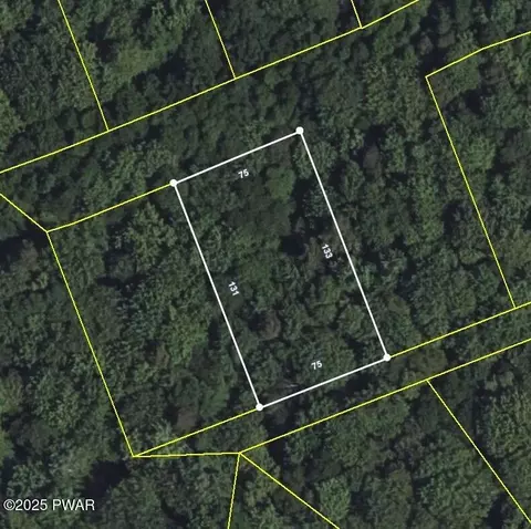 lot177 Plumtree Rd, Newfoundland, PA 18445