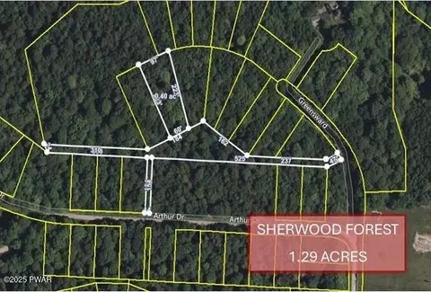 lot103 Greensward, Newfoundland, PA 18445