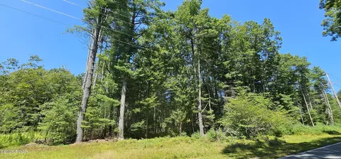 lot50 Deep Hollow Hill Rd, Narrowsburg, NY 12764