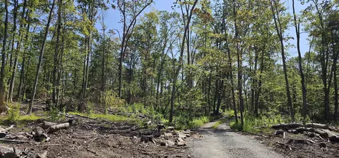 lot8 1 Eckes Rd, Narrowsburg, NY 12764