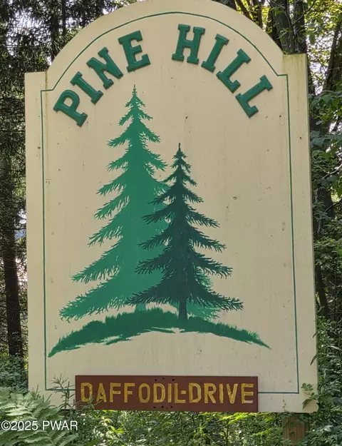 lot21 Daffodil Dr, Newfoundland, PA 18445