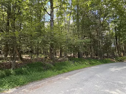 Wallenpaupack Drive, Greentown, PA 18426