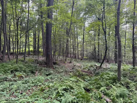 Racht Road, Honesdale, PA 18431