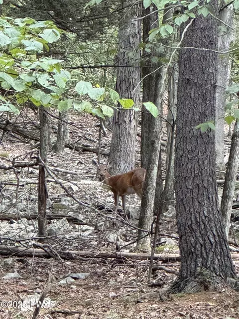 435 Autumn Ct, Hawley, PA 18428