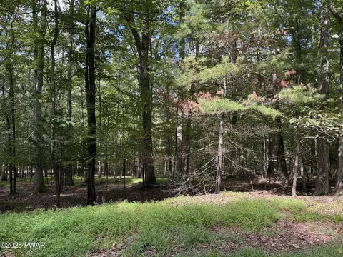Cedar Ridge Road, Hawley, PA 18428