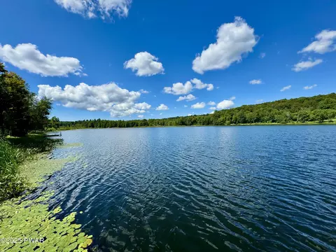 76 S Shore Rd, Pleasant Mount, PA 18453
