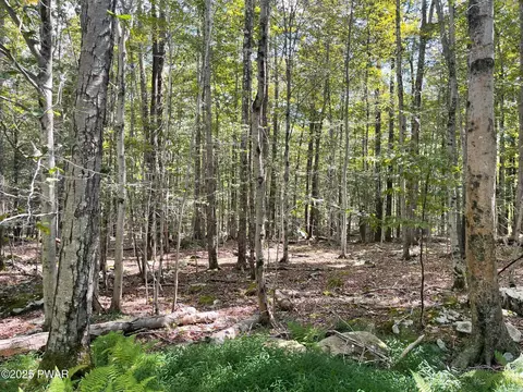 Fawn Road, Hawley, PA 18428