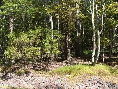 lot593 Tamarack Ln, Lake Ariel, PA 18436