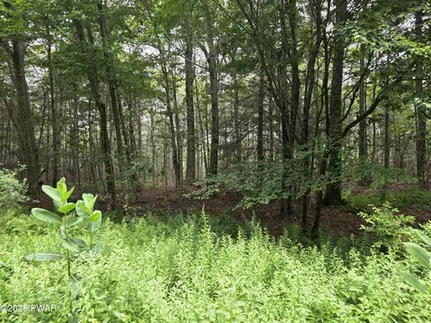 lot113 116 Arthur Dr, Newfoundland, PA 18445