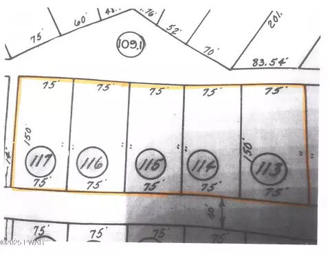 lot113 117 Arthur Dr, Newfoundland, PA 18445