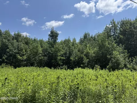 Daw Road, Pleasant Mount, PA 18453