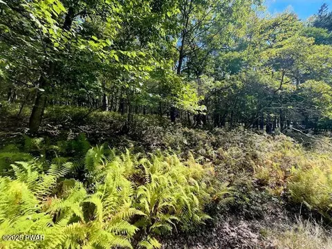 lot426 Squirrel Rd, Dingmans Ferry, PA 18328